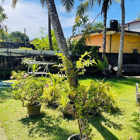 Hotel The Beez Negombo Zewnętrze zdjęcie