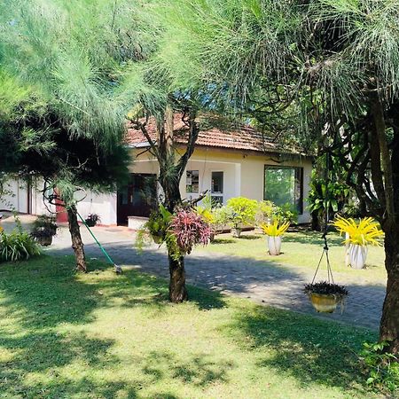 Hotel The Beez Negombo Zewnętrze zdjęcie