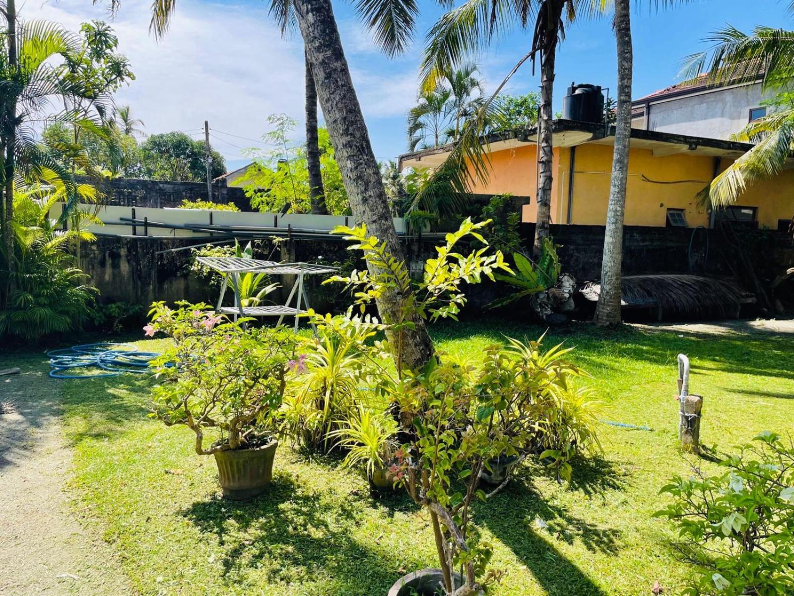 Hotel The Beez Negombo Zewnętrze zdjęcie