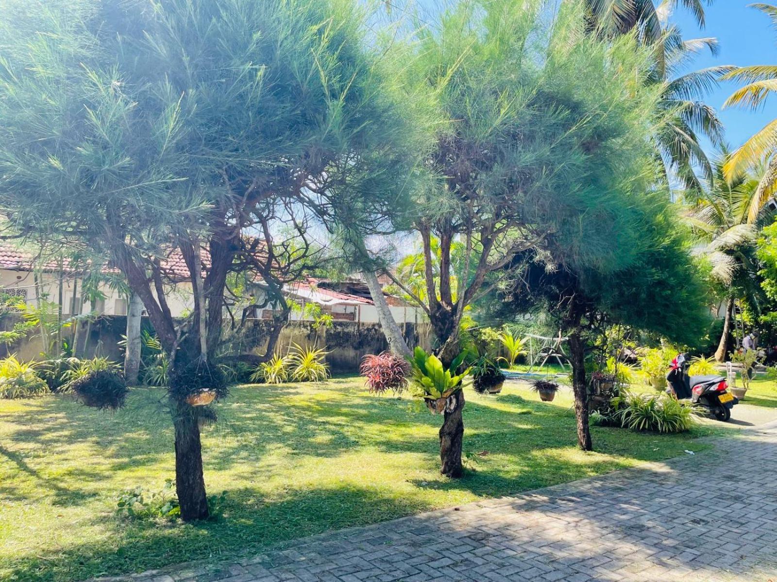 Hotel The Beez Negombo Zewnętrze zdjęcie