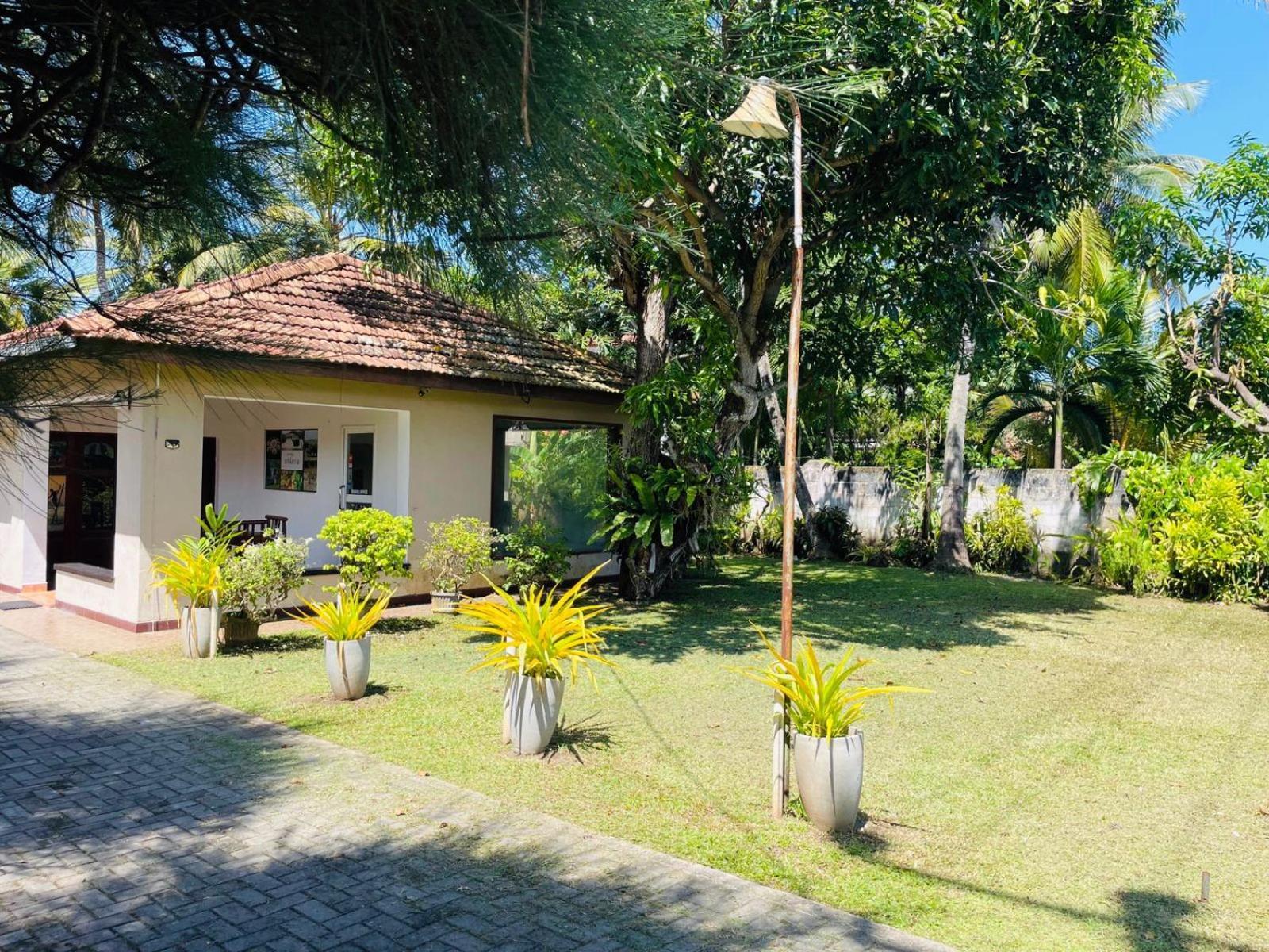 Hotel The Beez Negombo Zewnętrze zdjęcie